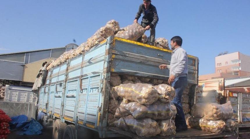 Ahlat Patatesi Ağrı Tezgahlarında