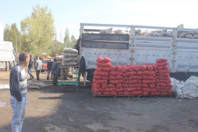 Ahlat Patatesi Ağrı Tezgahlarında 1