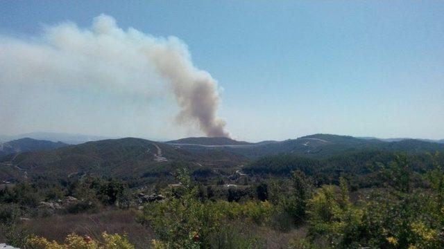 Suriye Sınırında Orman Yangını 2