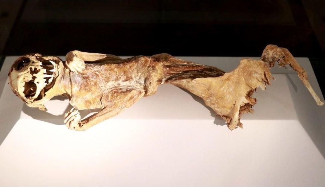 Mumyalar Ziyaret&ccedil;ilerini Bekliyor