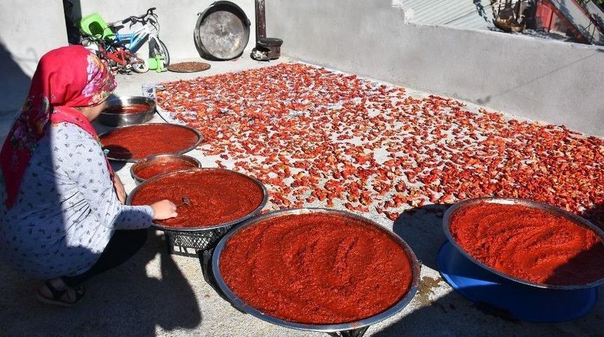 Kahta&rsquo;da Sal&ccedil;a Ve Kurutmalık Telaşı