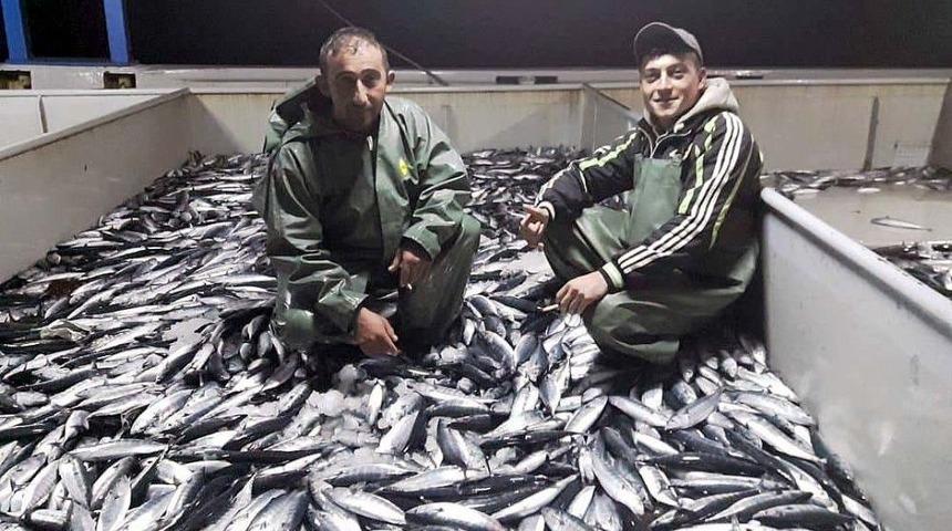 Karadeniz&rsquo;de Palamut Ve İstavrit Bereketi