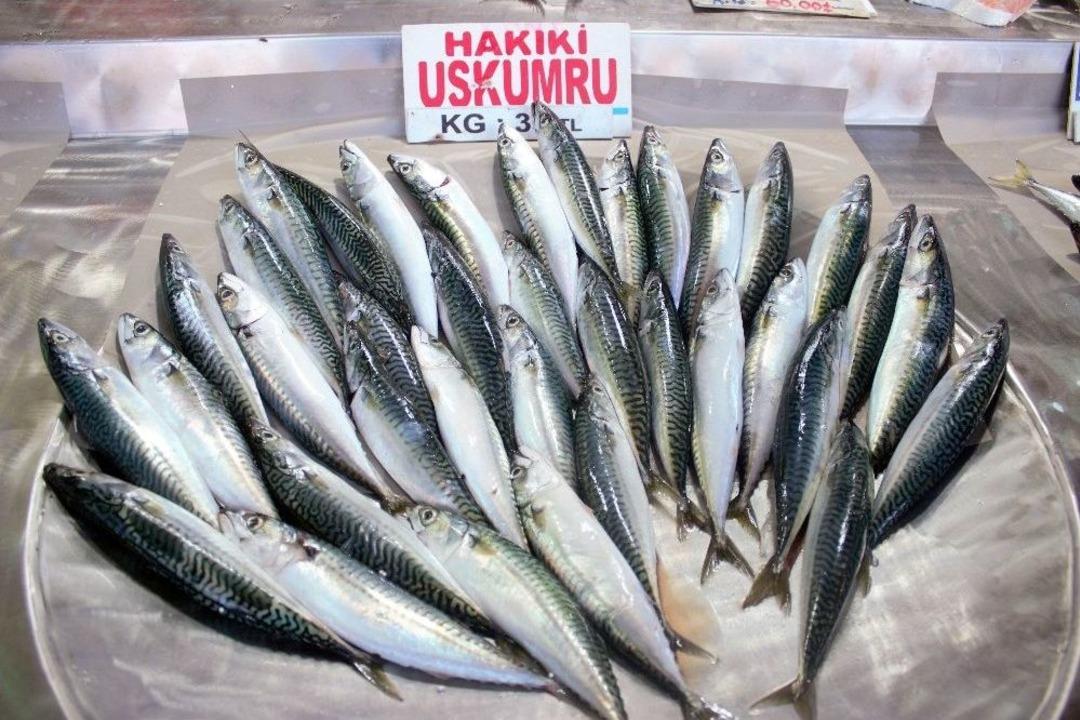 (&ouml;zel Haber) Uskumrunun 30 Yıllık K&uuml;sk&uuml;nl&uuml;ğ&uuml; Sona Erdi