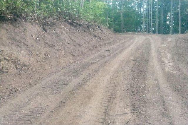 G&ouml;lyaka&rsquo;da Doğal Gen&ccedil;leştirme &Ccedil;alışmalarında Sona Yaklaşıldı 1