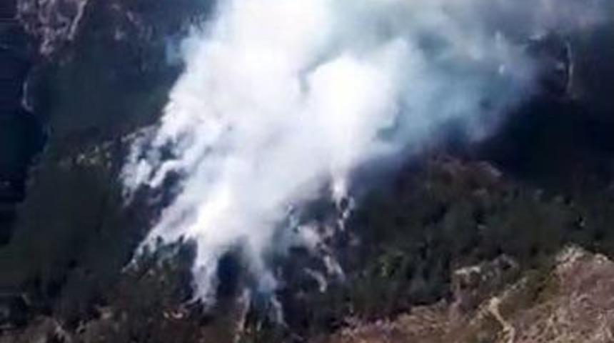 Osmaniye&rsquo;de Orman Yangını