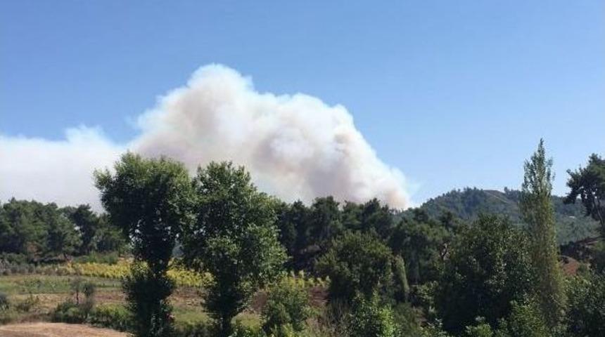 Suriye'nin T&uuml;rkmendağı B&ouml;lgesinde Orman Yangını