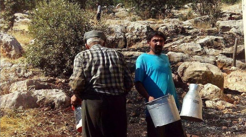 Otluk Yangını Ormana Sı&ccedil;ramadan S&ouml;nd&uuml;r&uuml;ld&uuml;