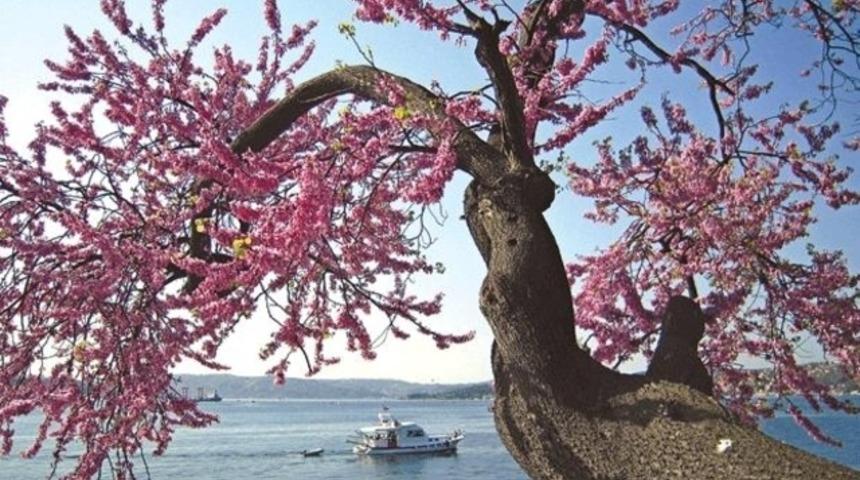 Tarihi bir ihanet Boğaz&rsquo;ı nasıl g&uuml;zelleştirdi