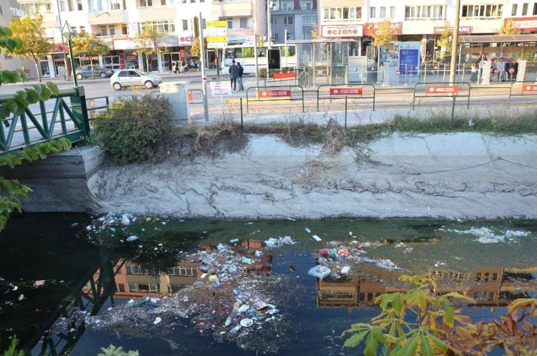 Hastane Yakınında Mikrop Yuvası