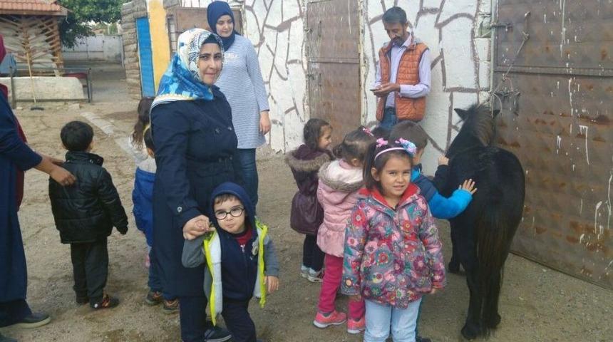 Minik &Ouml;ğrenciler Ata Binmeyi &Ouml;ğrendi