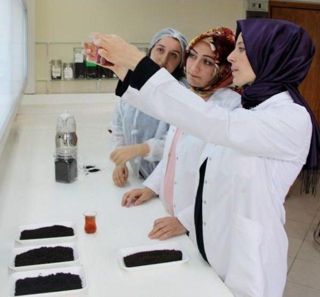 &Ccedil;ay Tadım Şampiyonu  en Iyi &Ccedil;ay Demleme  Tekniklerini Anlattı 2