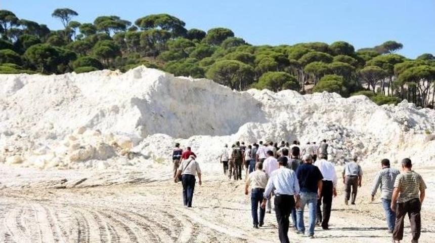 Köylüler, Fıstık Çamları Için Yargıya Başvurdu