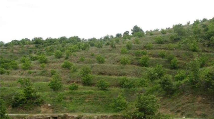 Ordu&rsquo;da Orman K&ouml;yl&uuml;s&uuml;ne Destek