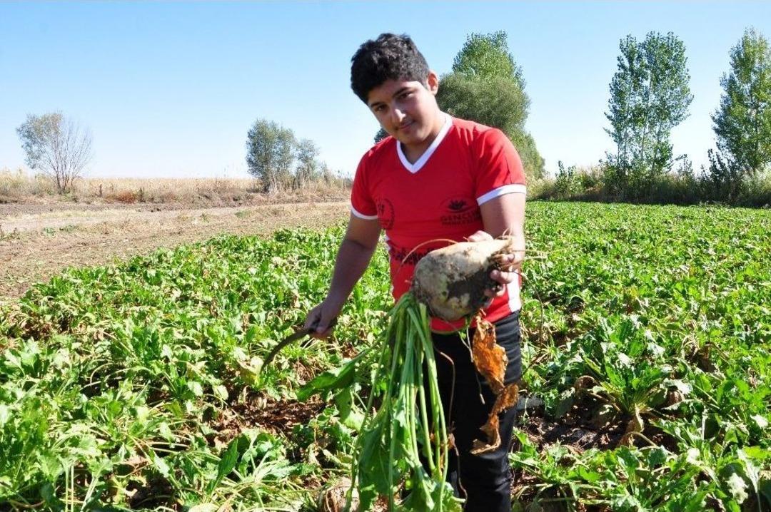 Rizeli Gen&ccedil;ler, Elbistan&rsquo;da Horon Eşliğinde Pancar S&ouml;kt&uuml;