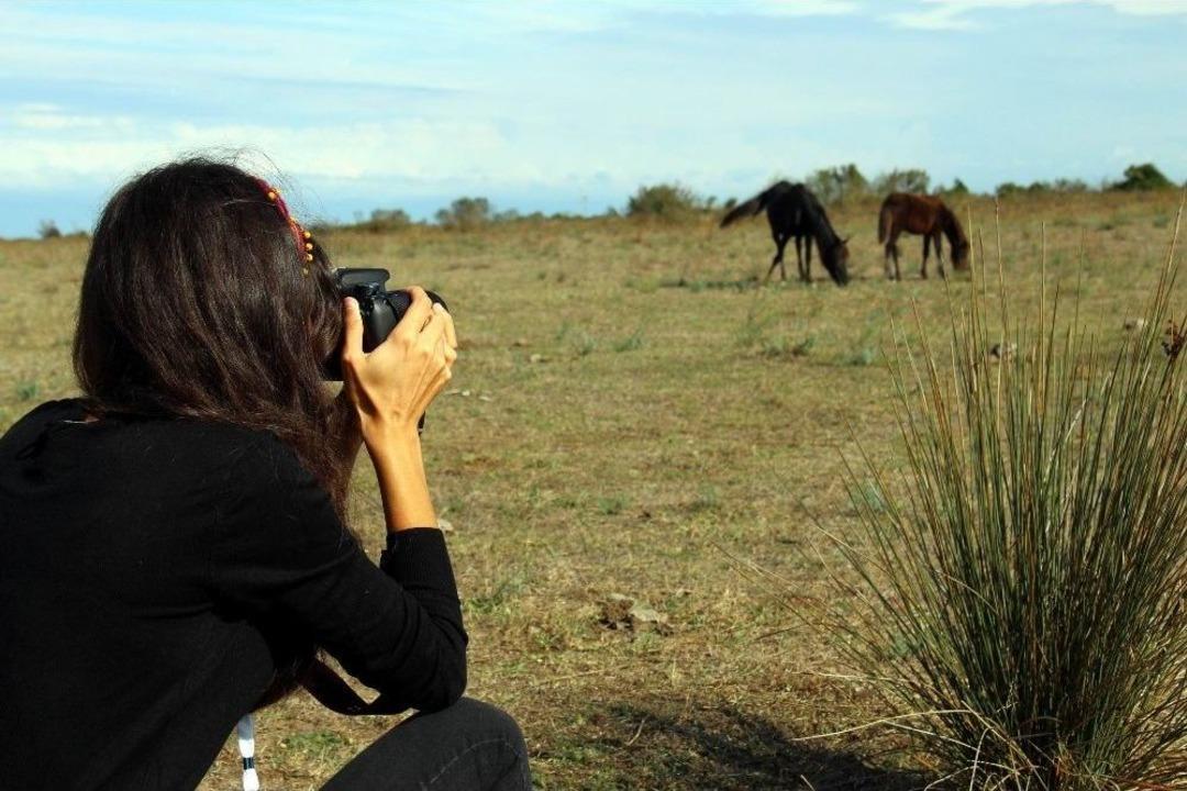 &lsquo;fotoğraf Avcılarına Rastgele&rsquo;