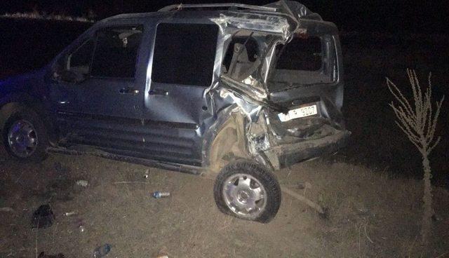 Domuz S&uuml;r&uuml;s&uuml;, Zincirleme Kazaya Neden Oldu 1