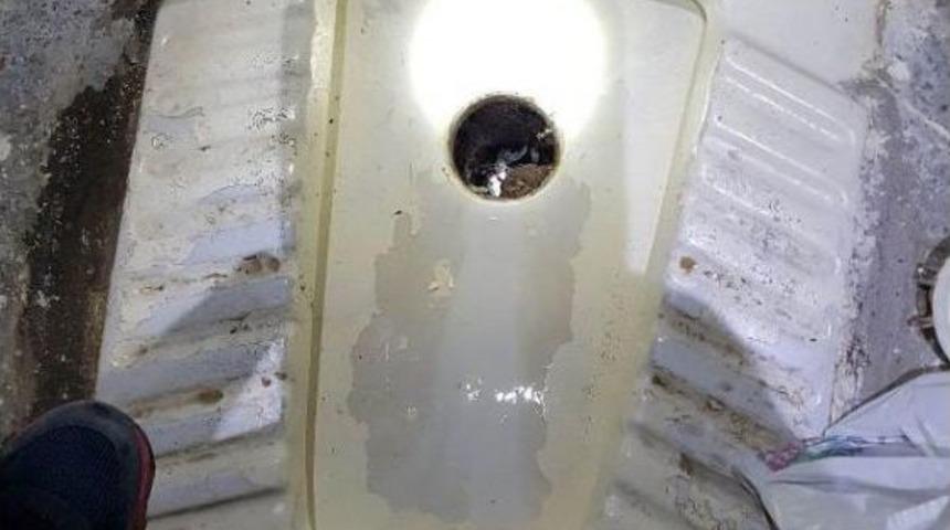 Tuvalete Attığı Eroini Polis &Ccedil;ıkardı