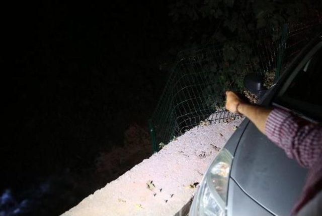 Yaslandığı Çit Kopunca Dere Yatağına Düşüp, Yaralandı 3