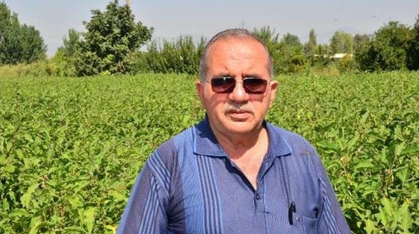 Kalem Ve Defterli Okul Isteği