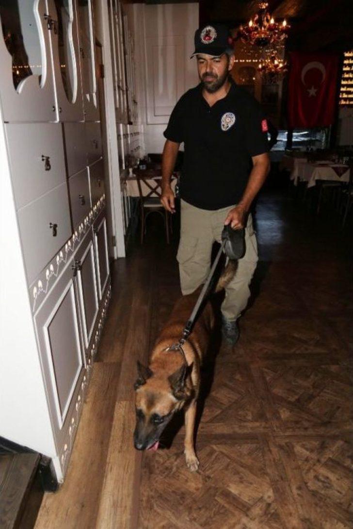 Kafe Ve Barlarda Dedektör Köpekle Arama G5