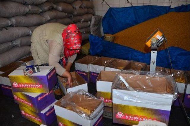 Kula Leblebisi Bulgar Nohutundan 1