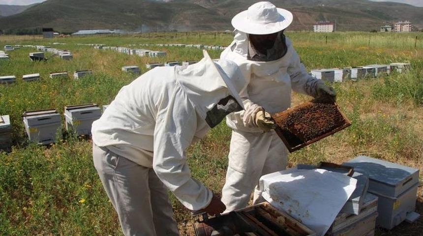 Erzurum&rsquo;da Bal &Uuml;retiminde Y&uuml;zde 40 Azalma Yaşandı