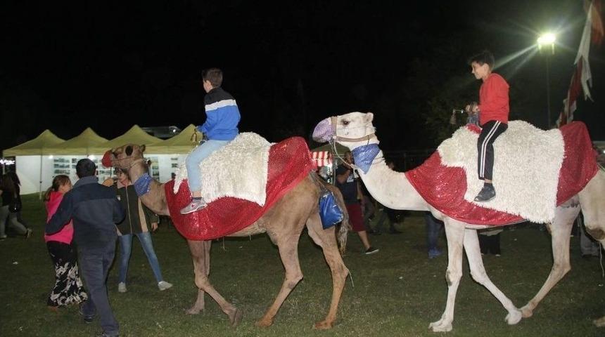 Deve Turu İlgi &Ccedil;ekiyor