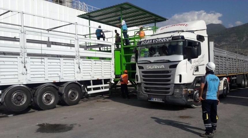 Anguslar Deniz Yolu İle İskenderun Limanı&rsquo;na Geldi