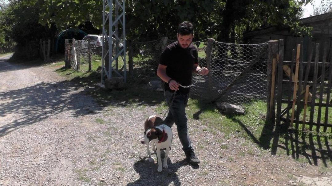 K&ouml;peği &Ouml;ld&uuml;r&uuml;len 80 Yaşındaki Hacer Nine: &ldquo;beni K&ouml;peğimin Yanına G&ouml;m&uuml;n&rdquo;