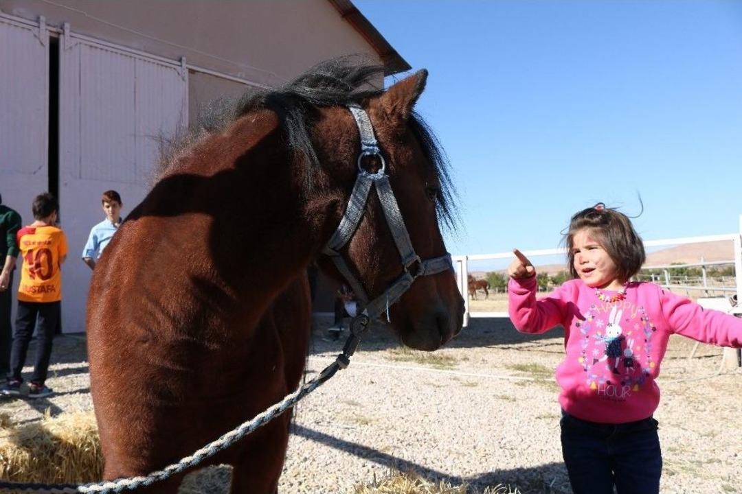&Ccedil;ocukların At Binme Keyfi