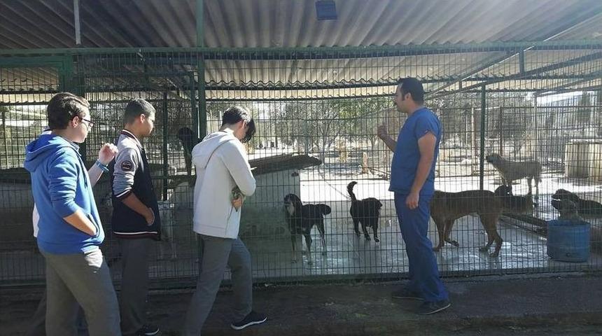 Burhaniye&rsquo;de &Ouml;ğrencilerin Hayvan Sevgisi Takdir Topladı