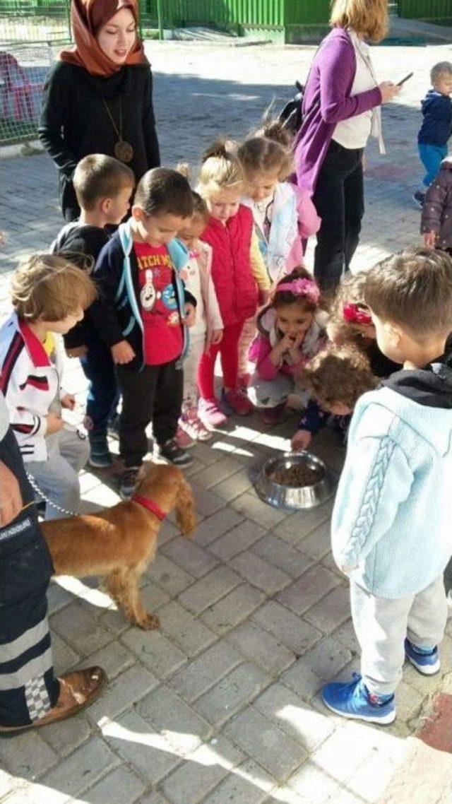 Burhaniye’de Öğrencilerin Hayvan Sevgisi Takdir Topladı