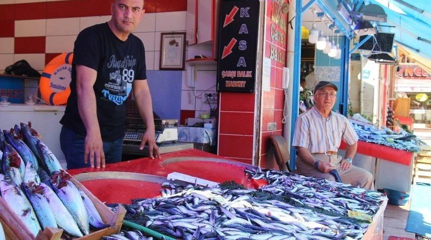Eskişehir&rsquo;de Mevsimin İlk Hamsileri Tezgahlara Ulaştı