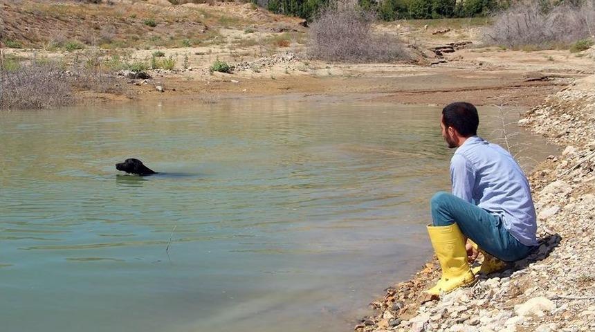 Balıkçı Köpek Sahibine Günlük İki Kilo Balık Yakalıyor
