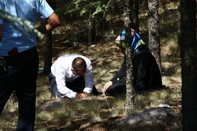 Ormanda Ağaca Asılı Kadın Cesedi Bulundu