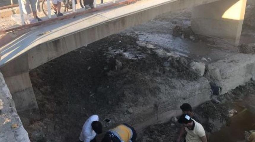 K&ouml;pr&uuml;de Y&uuml;r&uuml;rken 4 Metre Y&uuml;ksekten D&uuml;şt&uuml;