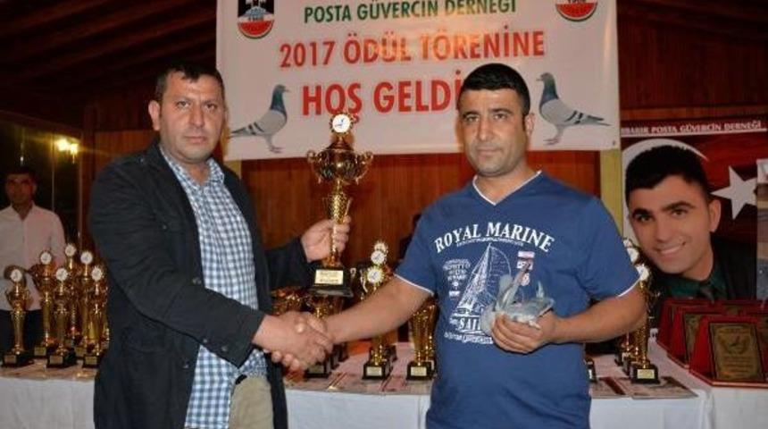 Posta G&uuml;vercinlerine &Ccedil;ip Takıp Yarıştırdılar