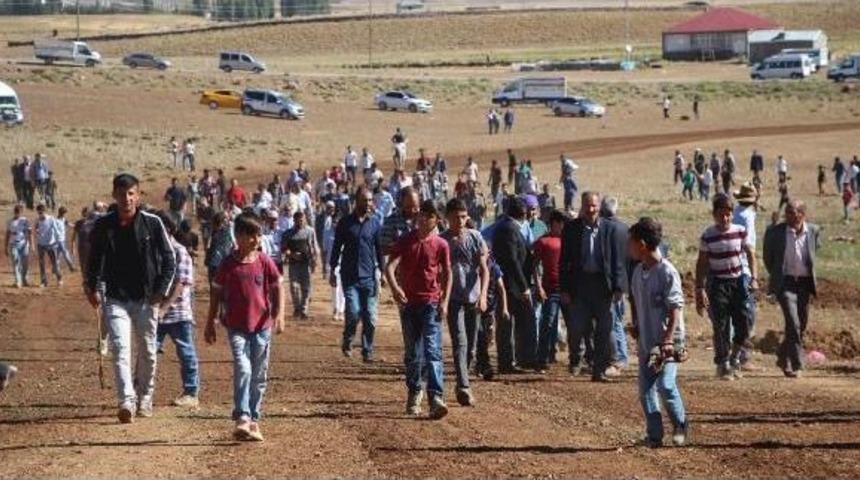 Karlıova'daki At Yarışlarında Renkli Görüntüler