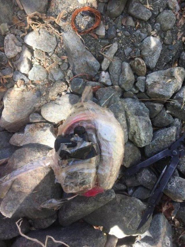 Şemdinli de El Yapımı Patlayıcı Imha Edldi 1