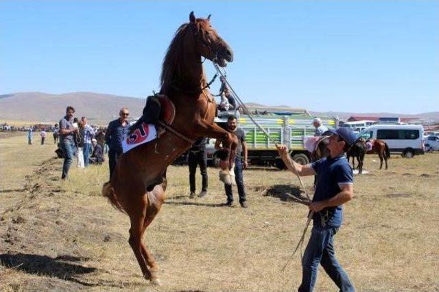 Ardahan'da Geleneksel Rahvan At Yarışları Yapıldı
