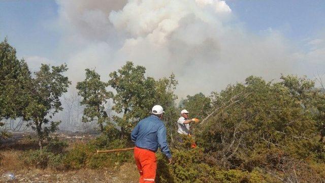 Kütahya Domaniç’te Orman Yangını