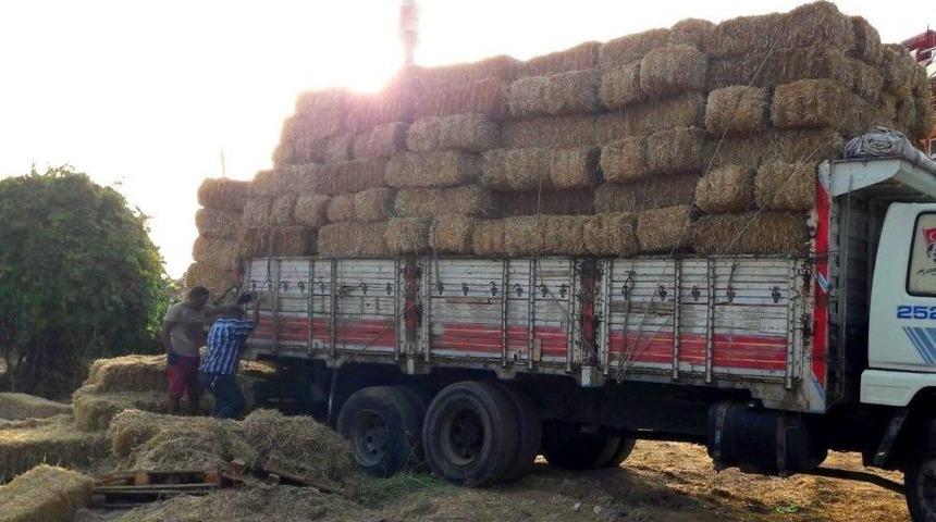 Muğla&rsquo;nın Zeytink&ouml;y Yangın B&ouml;lgesine Fatih Belediyesi&rsquo;nin G&ouml;nderdiği Yemler Ulaştı