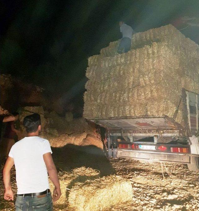 Muğla&rsquo;nın Zeytink&ouml;y Yangın B&ouml;lgesine Fatih Belediyesi&rsquo;nin G&ouml;nderdiği Yemler Ulaştı 2