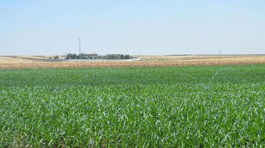 &Ccedil;ift&ccedil;i İthal &Uuml;r&uuml;n İstemiyor