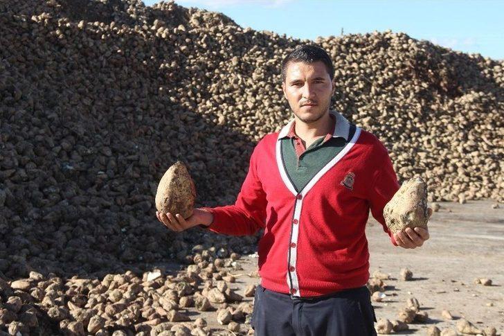 Kuraklık Pancar Üreticisini Vurdu. G2