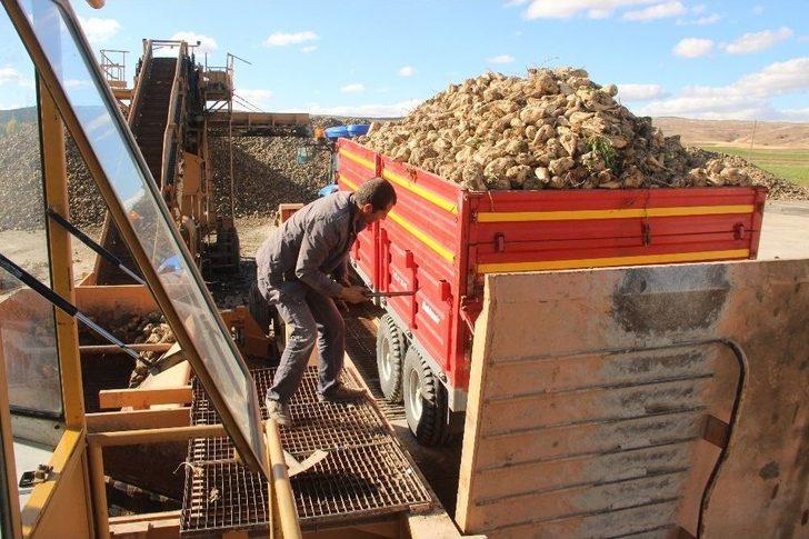 Kuraklık Pancar Üreticisini Vurdu. G5