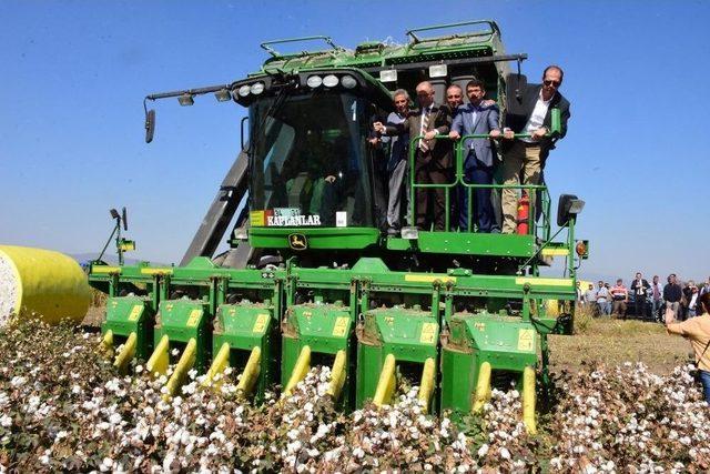 Şehzadeler&rsquo;de Pamuk Hasadına Başlandı 2