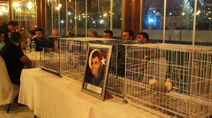 Posta G&uuml;vercinleri Kilometrelere Kafa Tuttu