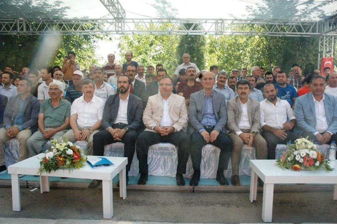 Şeref Eroğlu Kısa Şalvar G&uuml;reş Turnuvası D&uuml;zenlendi