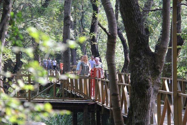 &Ccedil;akırlar Korusu Ziyaret&ccedil;i Akınına Uğruyor 1